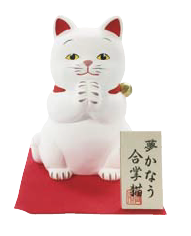 合掌猫